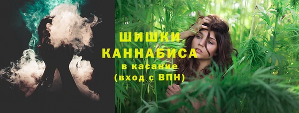 сатива Балахна